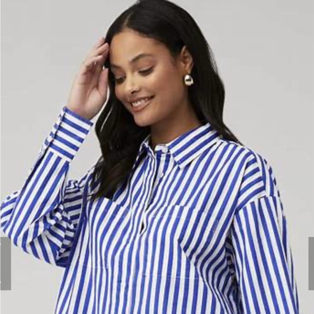 Rena Button Down Tunic Shirt in Cobalt Stripe
PISTOLA - Picture 4 of 8